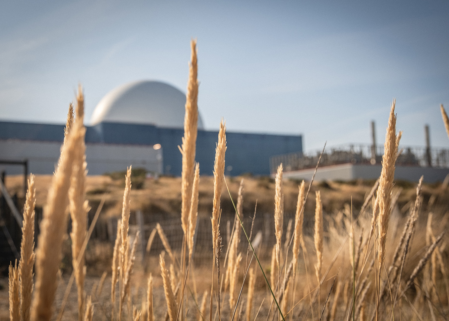 Decommissioned Sizewell Nuclear Power Station, UK, wheat in front.