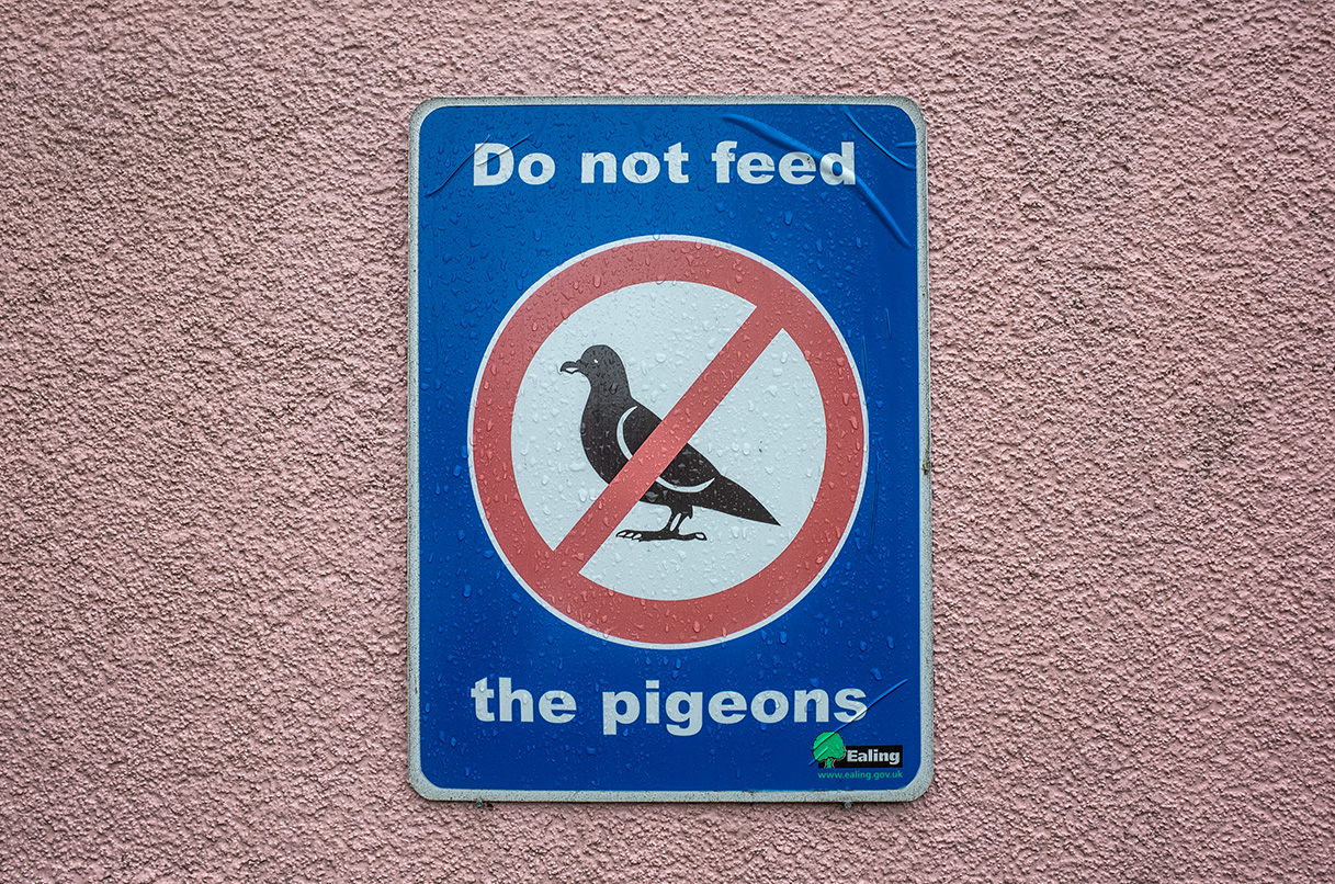 Do Not feed the pigeons - ealing council sign